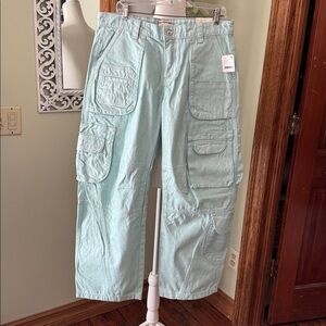 We the Free Aqua Cargo Pants